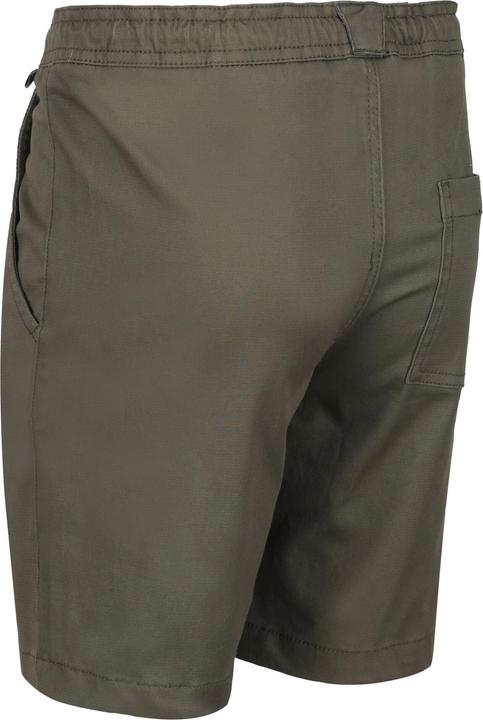 Actual product image Regatta Alber Shorts (146)