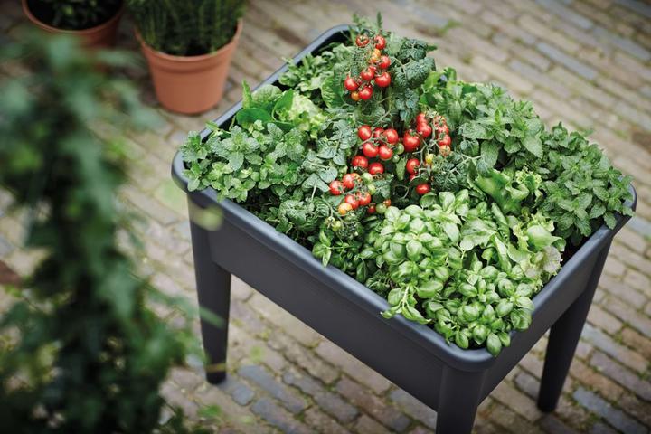 Produktbild Elho Green Basic Super XXL