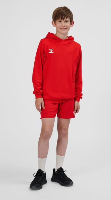 Immagine prodotto hummel Hmlauthentic Pl Hoodie Kids (116)