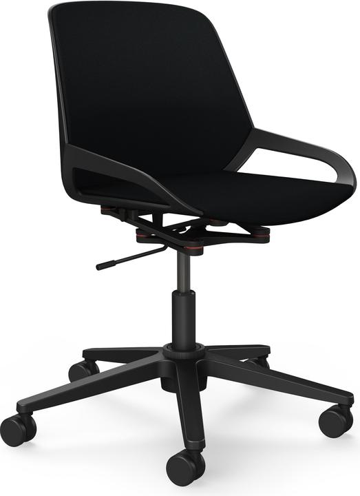 Schwarz