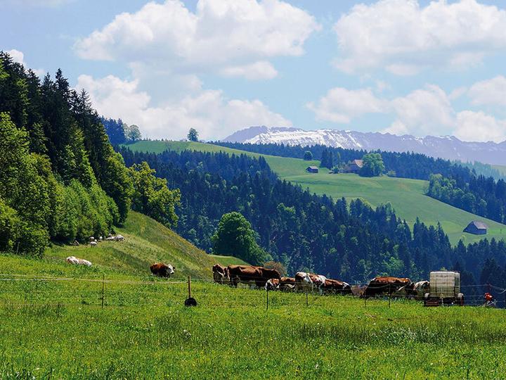 Produktbild Smartbox 2 Übernachtungen auf einem Bauernhof mit Frühstück im Emmental (2 Pers.)
