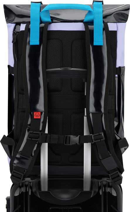 Actual product image Johnny Urban Rucksack Ashton (27 l)