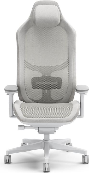 Fractal Gaming chair Refine Mesh Light (shipping)