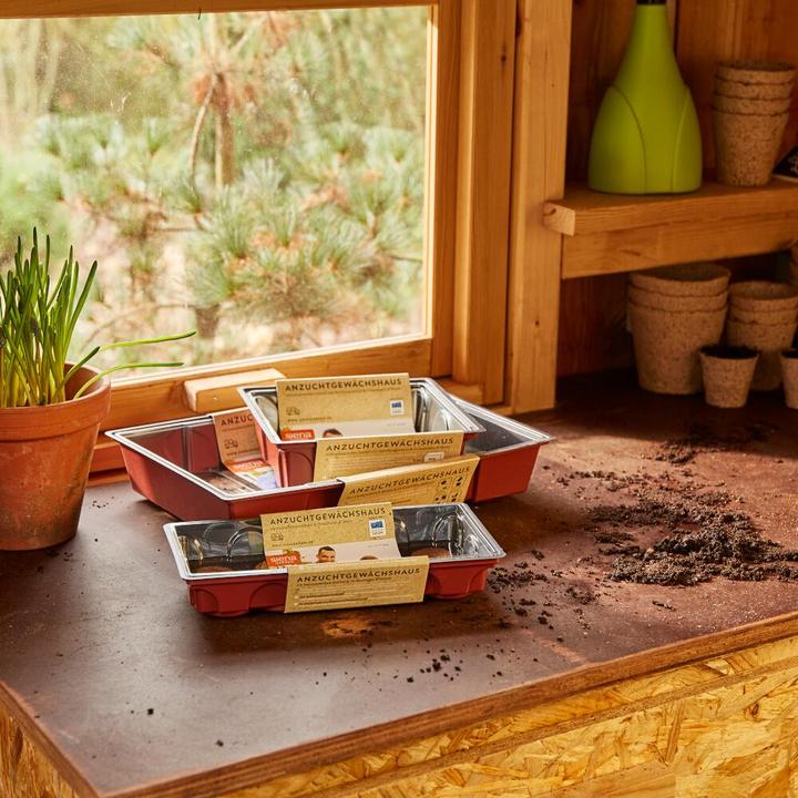 Produktbild Siena Garden Anzuchtgewächshaus