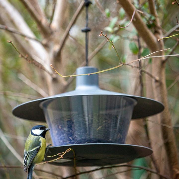 Produktbild Siena Garden Vogelhäuschen