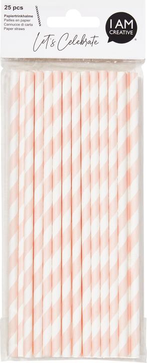 I Am Creative Paper drinking straws (25 x)