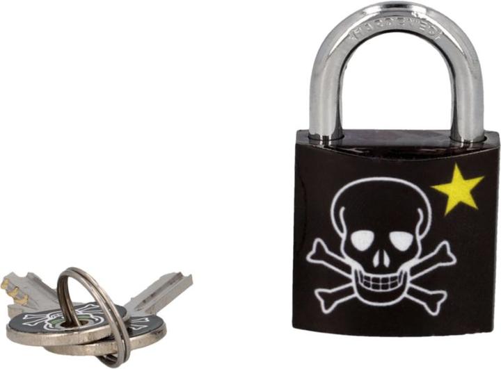 Master Lock Skull