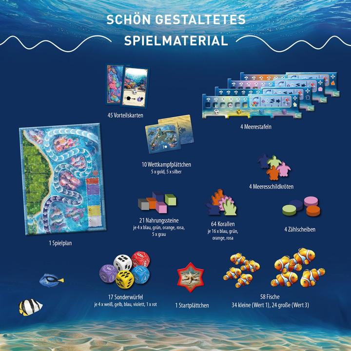 Produktbild Kosmos Australis (Deutsch)