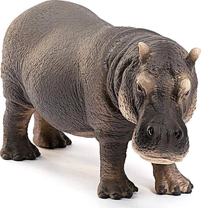 Image du produit Schleich Hippo
