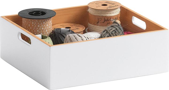 Actual product image Zeller Present All-purpose boxes (30 x 27 x 10.5 cm, 5 l)