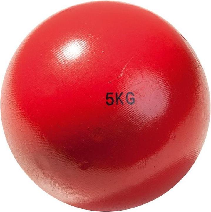 Image du produit Tanga Sports poids à lancer (5000 g)