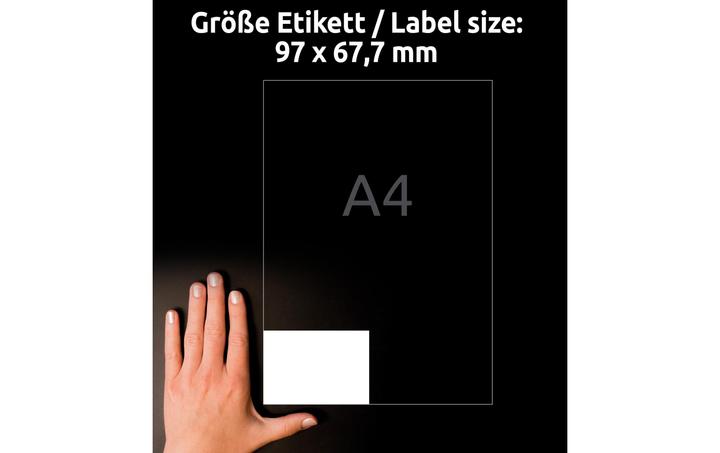 Actual product image Avery Universal labels