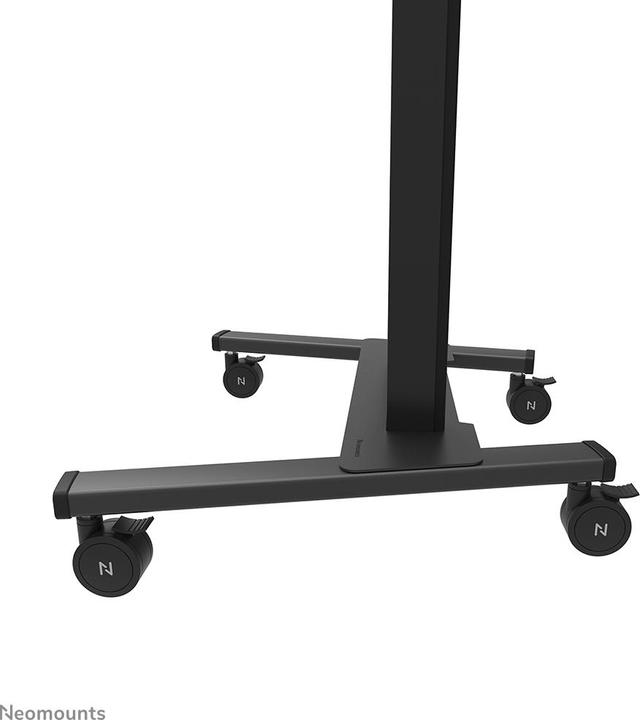 Actual product image Neomounts FL55-875BL1 (Universal, 100", 110 kg)