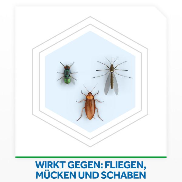 Image du produit Raid Spray multi insectes (400 ml)