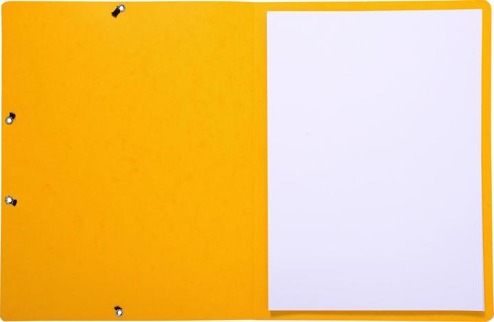 Actual product image Exacompta Collection folder with elastic band (A4, 1 x)