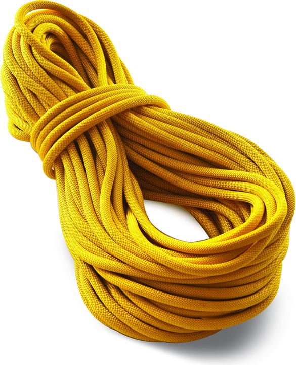 Tendon Canyon Seil 10.0 (60 m)