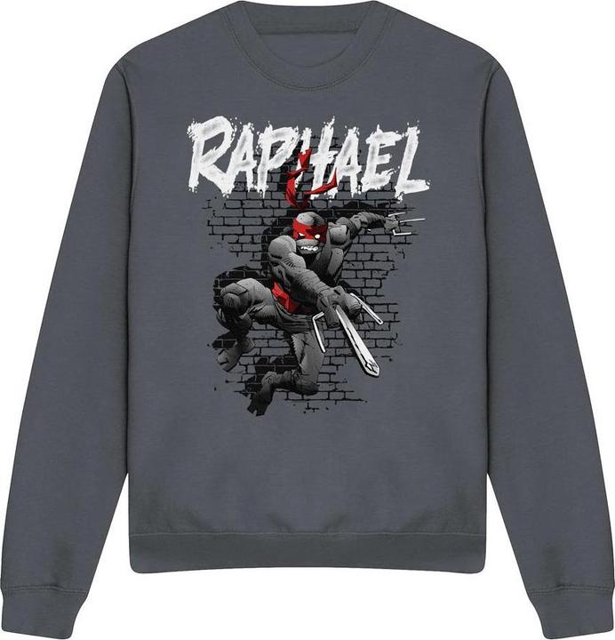 Teenage Mutant NT Sweatshirt (L)