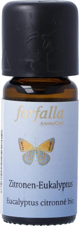 Farfalla Eucalipto al limone
