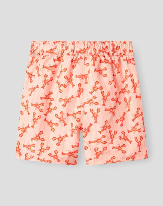 Produktbild Name it Print Badeshorts (152)
