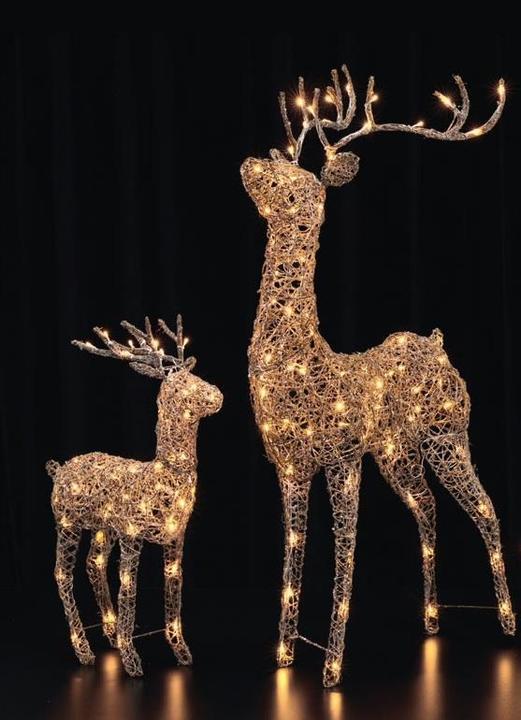 Image du produit STT Deer