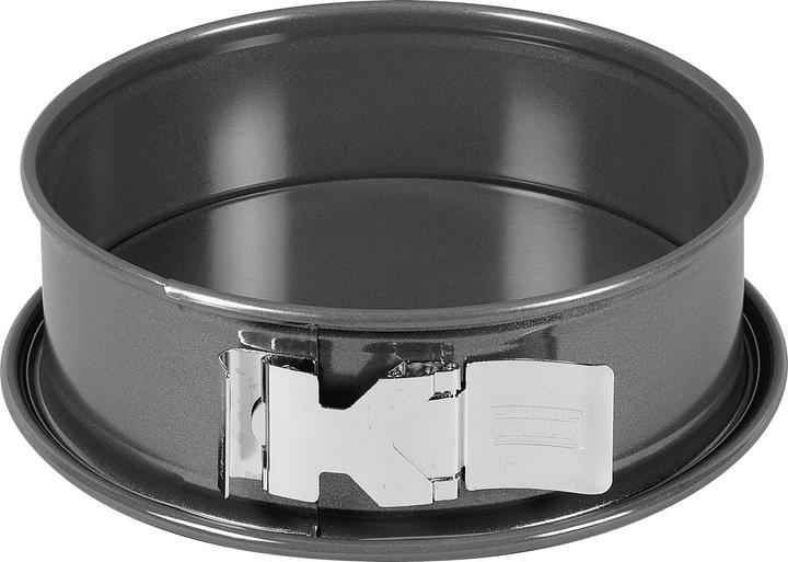 Kaiser Springform 24cm Backform La Forme Plus Flachboden antihaft schnittfest (24 cm)