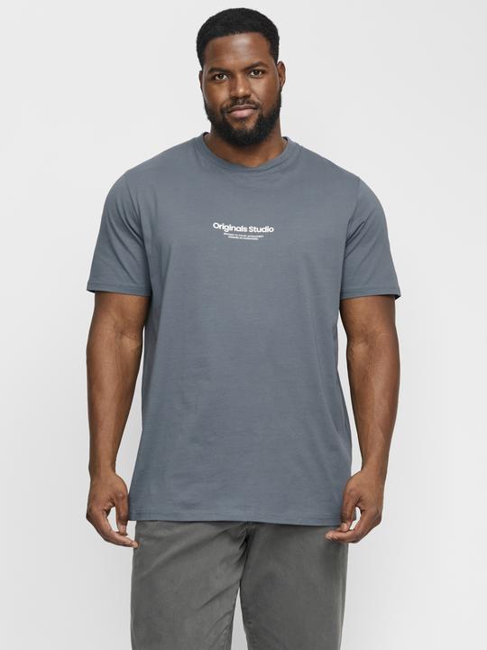 Image du produit Jack & Jones Jorvesterbro Tee Ss Crew Neck Noos Pls (8XL)