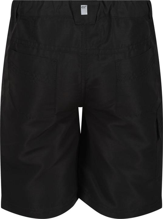 Actual product image Regatta Sorcer II Shorts (104)