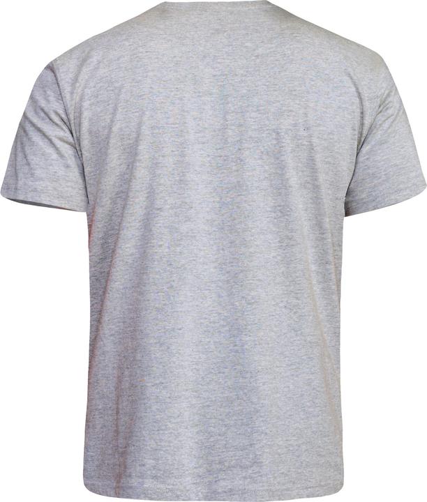Immagine prodotto DUKE D555 Tshirt Kingsize Signature1 in cotone (4XL)