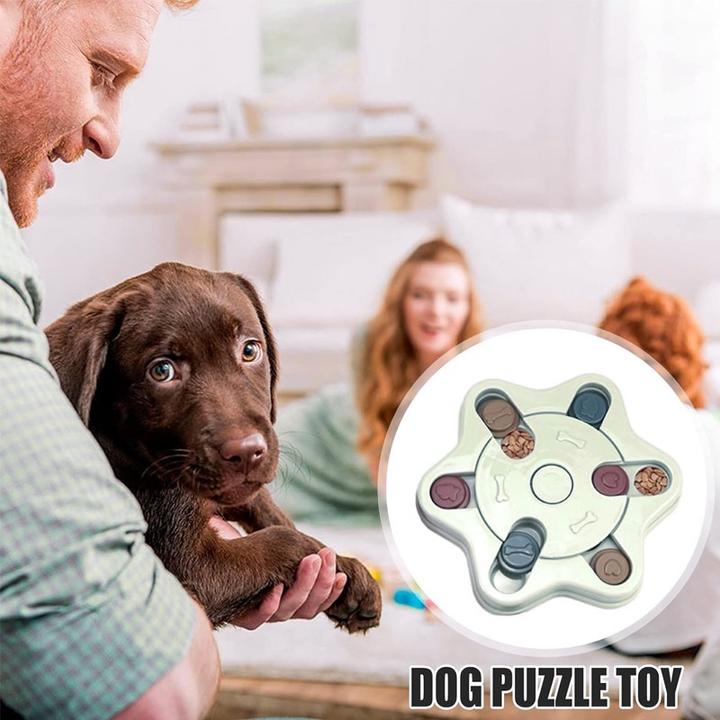 Actual product image Out of the blue Food bowl dog puzzle toy, slow feeder (Dog food toy)