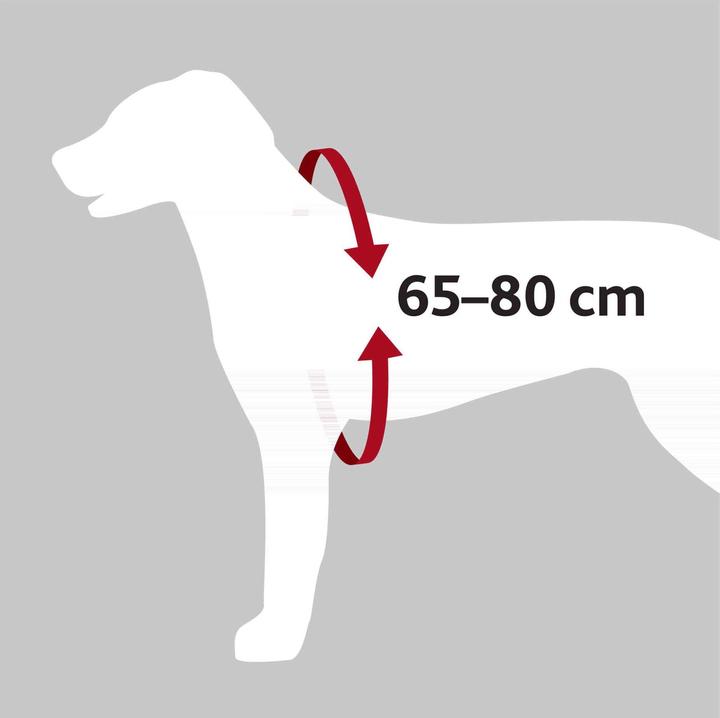 Image du produit Trixie Harnais de voiture Protection des chiens (Chien, Lavable, Réflecteurs)
