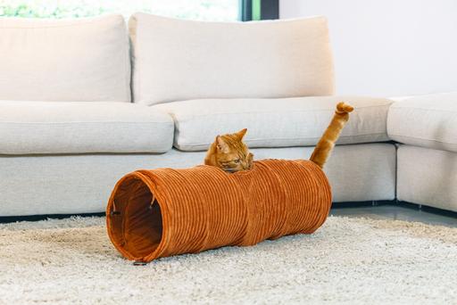 Actual product image Designed by Lotte Ribbed cat tunnel (Cat tunnel)