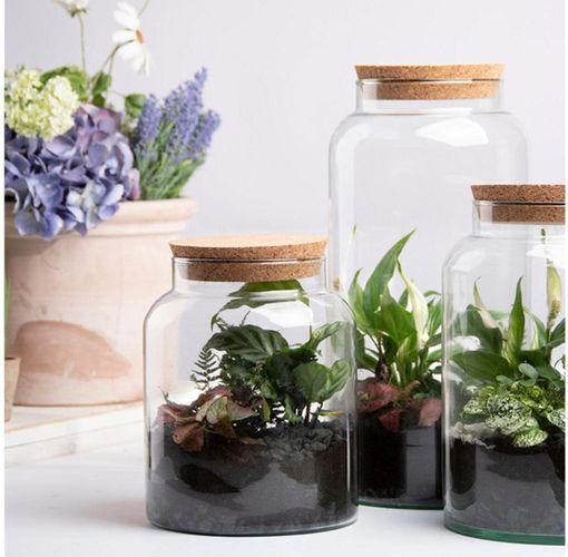 Immagine prodotto Esschert Design Terrarium