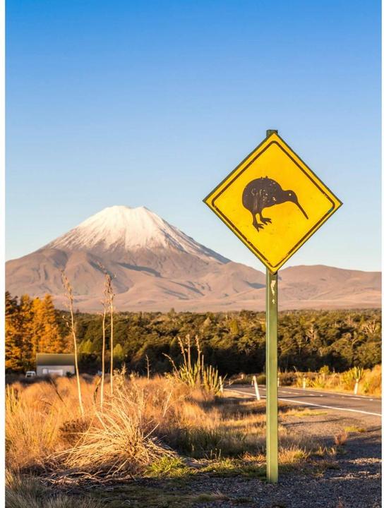 Actual product image Trenddeko Street sign: Attention Kiwi (192 x 300 cm)