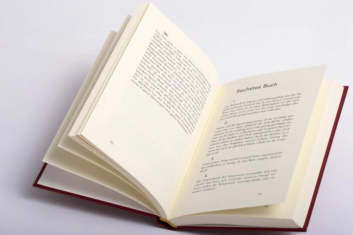 Actual product image Selbstbetrachtungen (Cabra-Lederausgabe) (German, Marcus Aurelius, 2018)