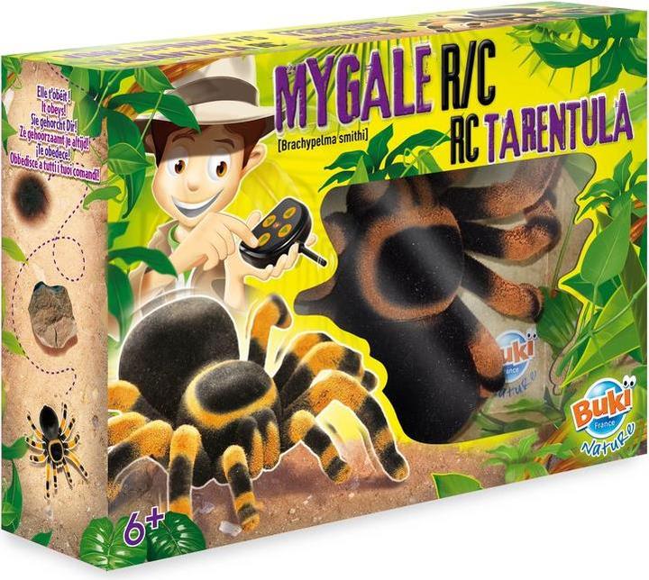 Buki RC Oiseau araignée