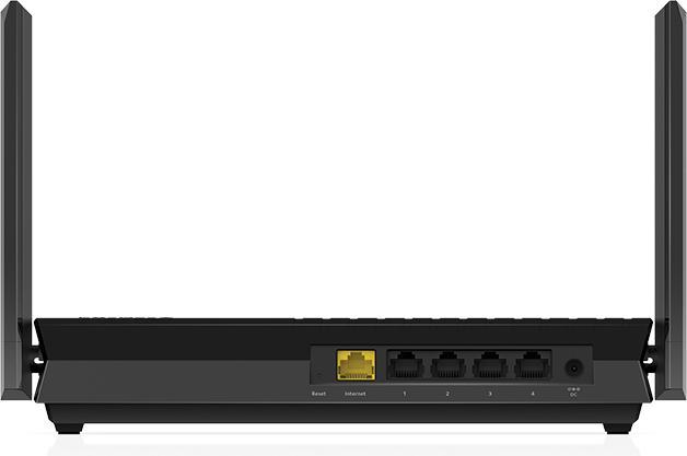 Actual product image Netgear RAX20