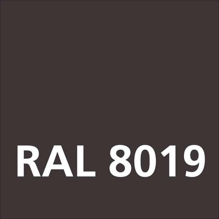 Image du produit Dupli-Color Peinture acrylique brillant RAL 8019 brun gris (gris-brun, 0.40 l)