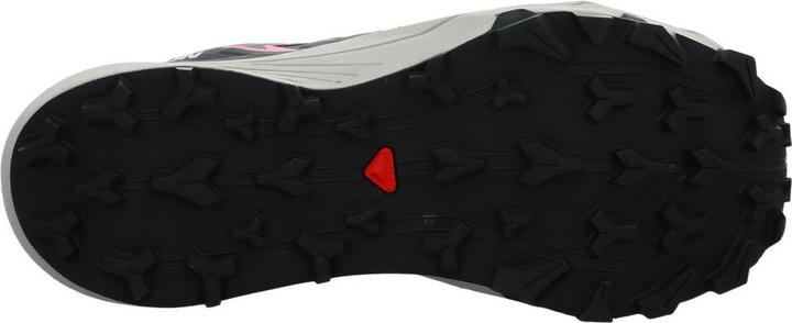 Actual product image Salomon Thundercross GTX w (39 1/3)