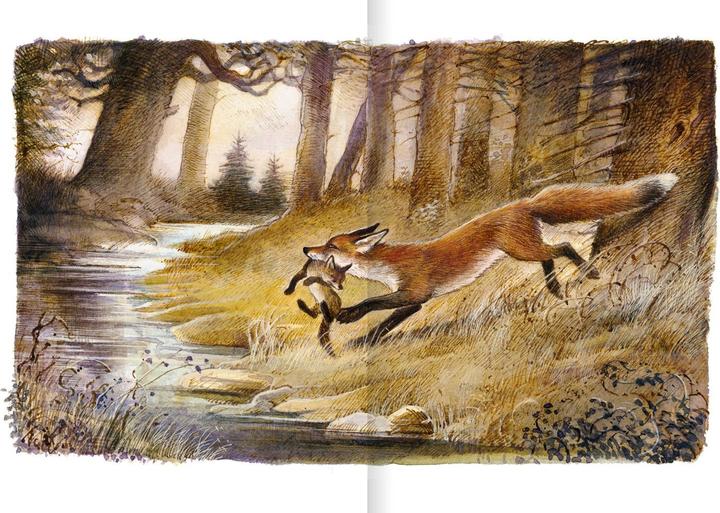 Produktbild Der Findefuchs (Deutsch, Irina Korschunow, Reinhard Michl, 2021)