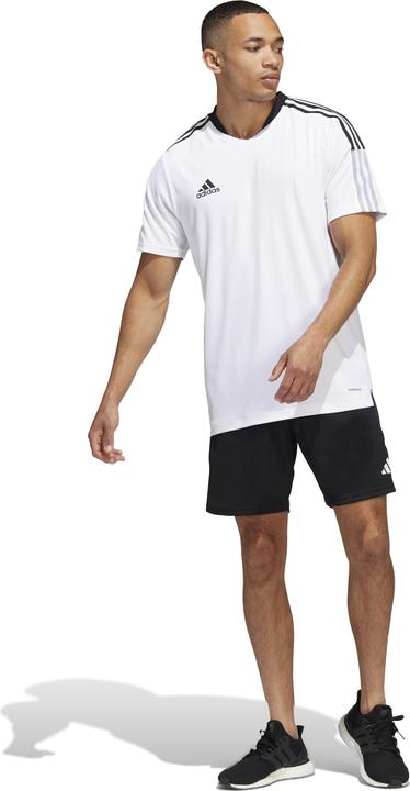 Actual product image adidas Tiro 23 Competition training shorts men (S)