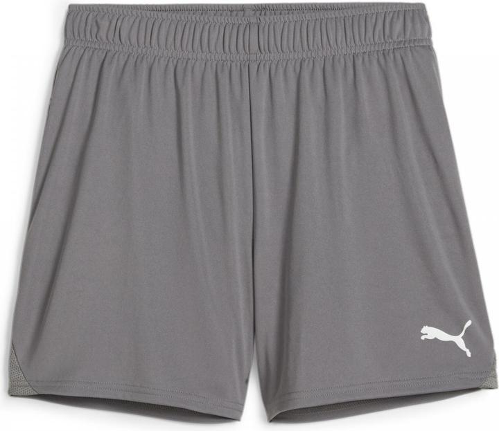 Actual product image Puma teamGOAL Handball Shorts W (M)