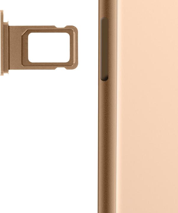 Produktbild Clappio Ersatz Sim-Halter iPhone 11 Pro (SIM-Halterung, iPhone 11 Pro Max)
