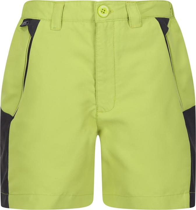 Regatta Sorcer Mountain III Shorts (170, 176)