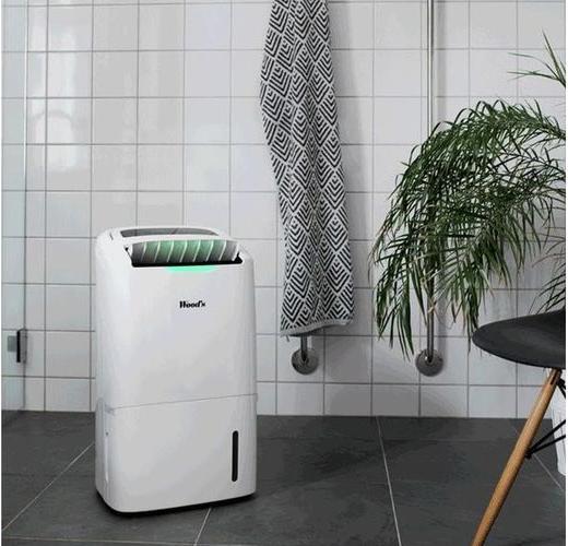 Image du produit Wood's Ad20 (100 m², 22 l/24h)
