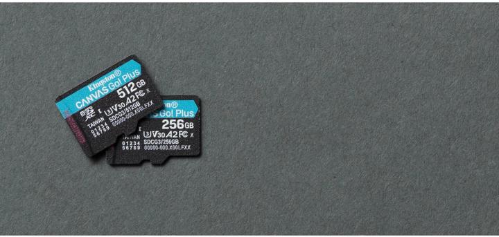 Actual product image Kingston Canvas Go! Plus microSD (256 GB, microSDXC, U3, UHS-I)