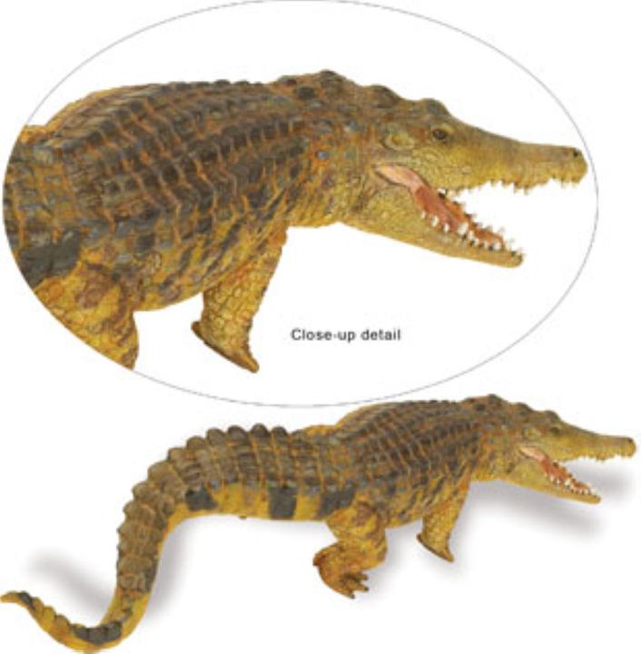 Actual product image Safari Ic Saltwater Crocodile