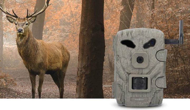 Produktbild Nedis Wildcamera - 1080p@30fps - 30.0 MPixel - 2 MPixel CMOS - IP66 - Zwart No-Glow IR - Nachtzicht - Kijk
