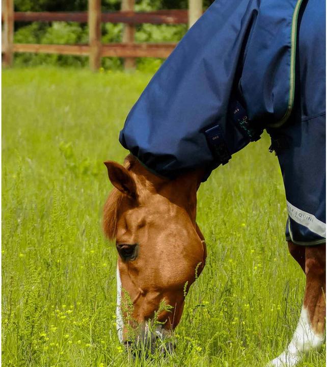 Produktbild Premier Equine outdoor-decke mit halsteil titan 40 g (168 cm)