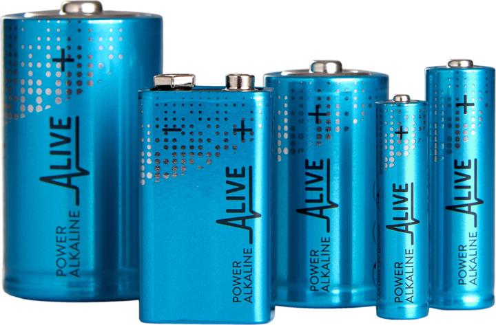 Image du produit Pile alcaline (2 pcs, 9V Block, 600 mAh)