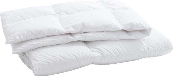 Billerbeck Climacontrol Classic (570 g, 160 x 240 cm)